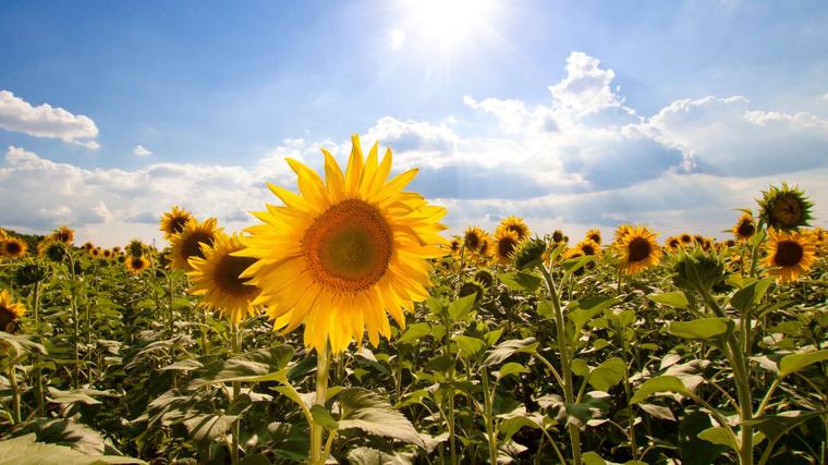 Météo : temps essentiellement beau ce samedi, mer forte au-delà des récifs