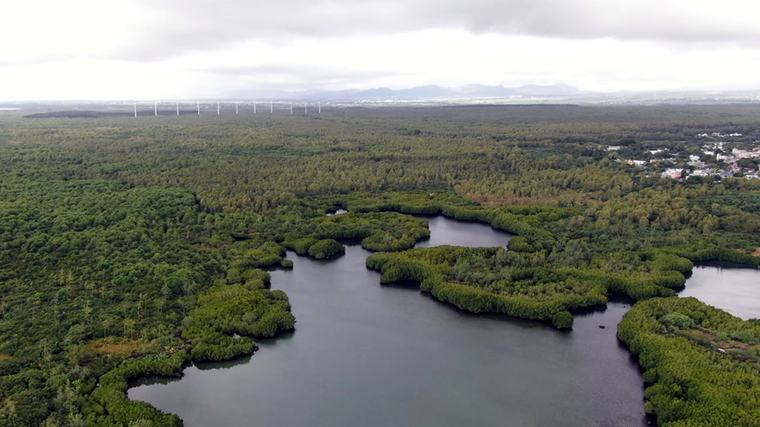 Retiré du Parlement : des conflits de lois bloquent le Wetlands Bill