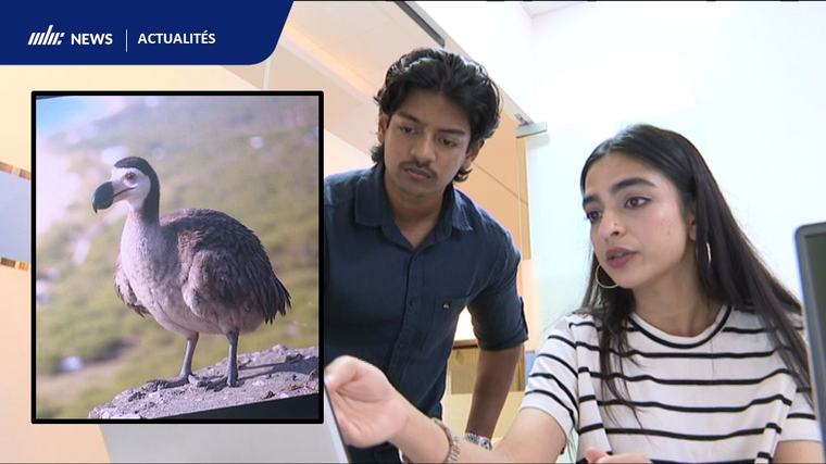 Le retour du Dodo : deux jeunes Mauriciens dans une aventure hors du commun