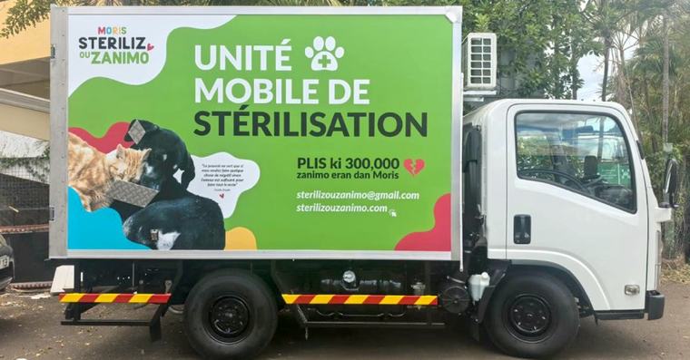 ûclairage Moris Steriliz Ou Zanimo Au céur de lãaction